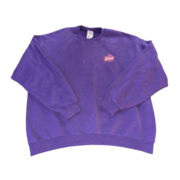 Vintage Jerzees Erie Illusion Purple Embroidered Sweatshirt Size XL - Picture 2 of 7